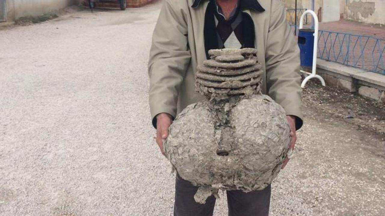 Evinin &ccedil;atısında buldu! G&ouml;ren şaşkına d&ouml;n&uuml;yor