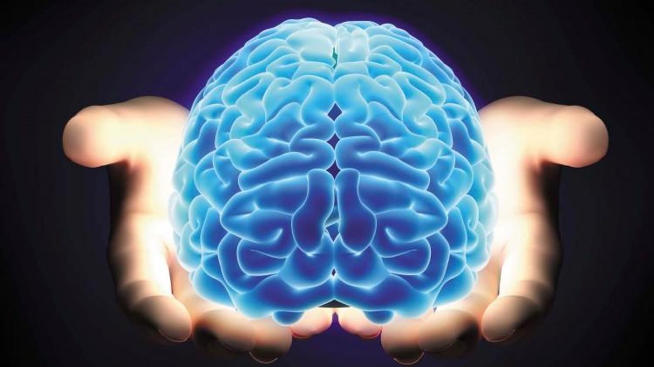 Beyniniz Nasıl Çalışır? Efsaneler ve Gerçekler…