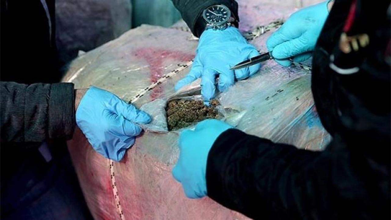 İzmir'de 1.5 ton skunk ele geçirildi!
