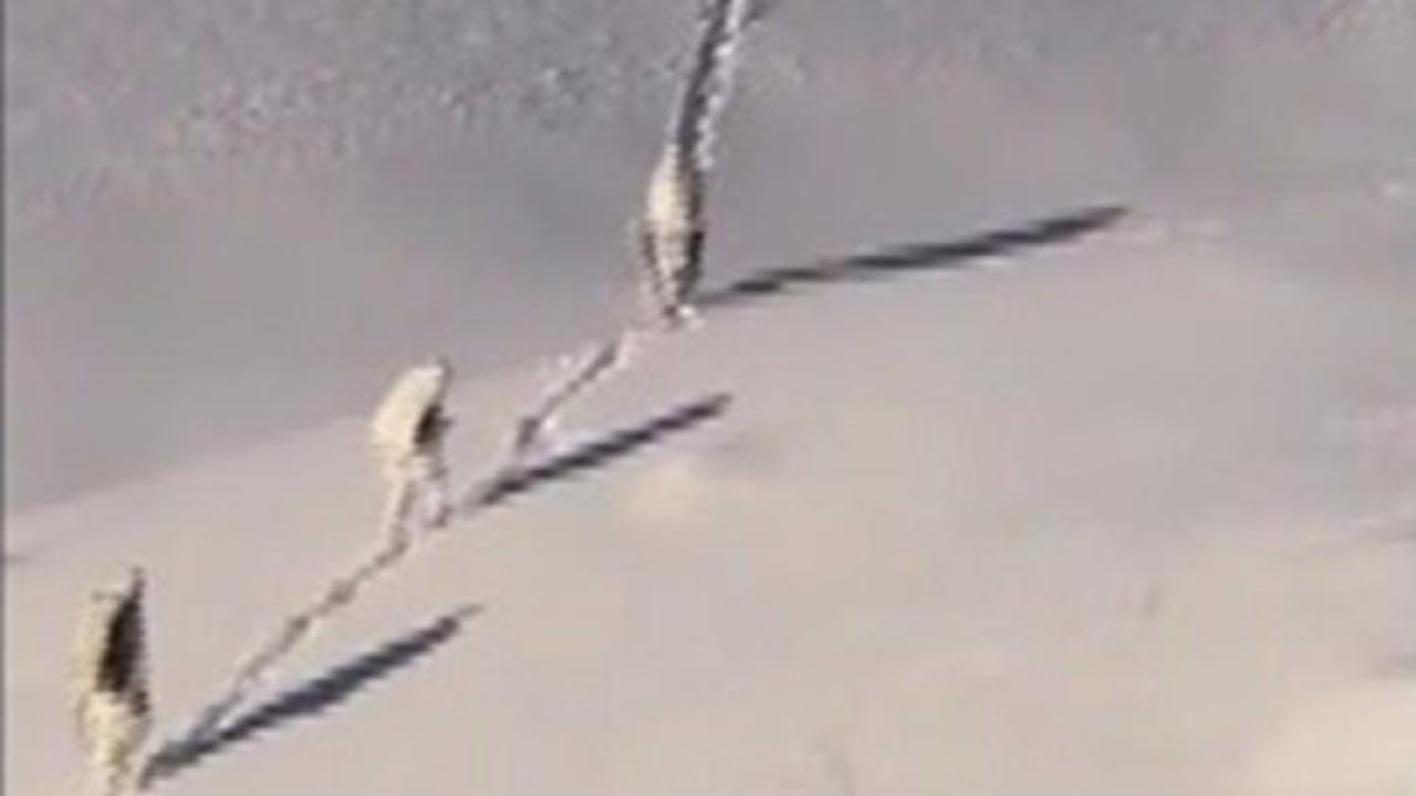 Mehmet&ccedil;ik 2 bin 962 rakımlı dağda ter&ouml;rist avında