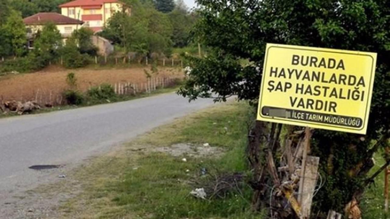 Şap alarmı! Karantinaya alındı