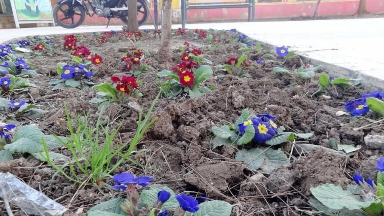 G&uuml;neydoğu'ya bahar erken geldi!