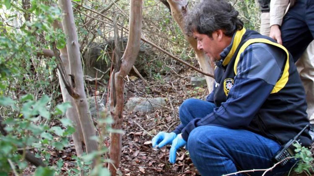 Ormanlık alanda insan kemikleri bulundu
