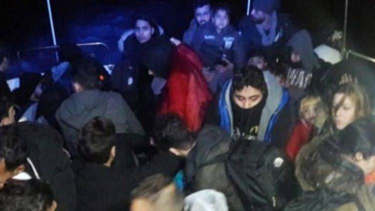 Bodrum'da 42 kaçak göçmen yakalandı