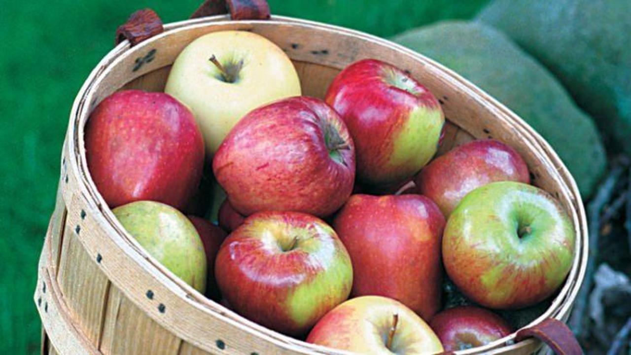 Meyvenin sağlıklı olduğu nasıl anlaşılır?