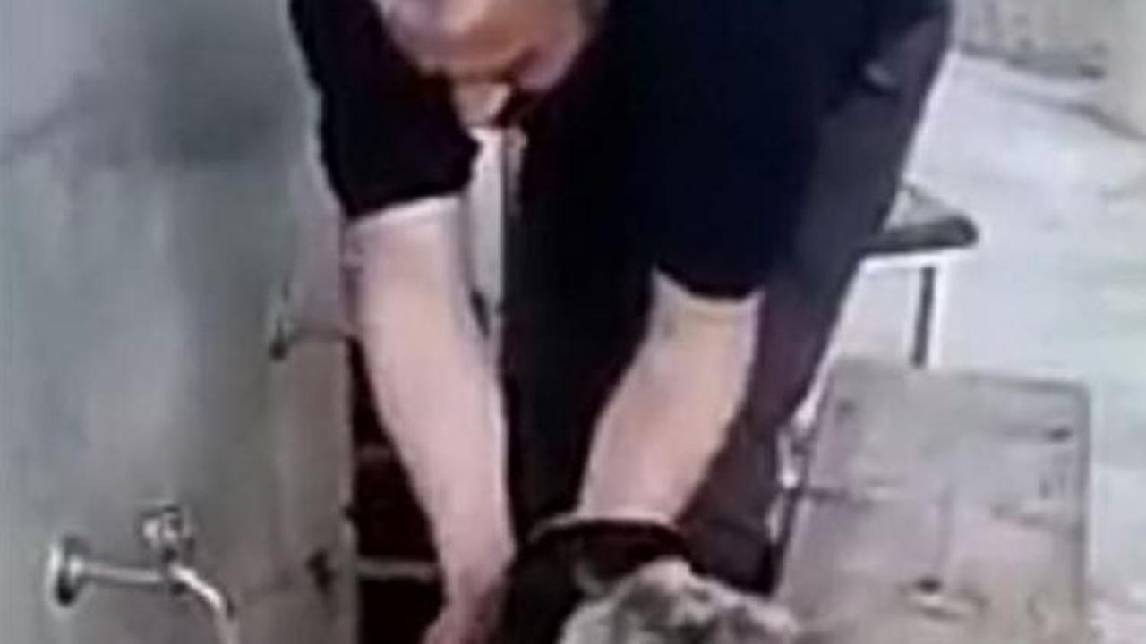 Abdest alırken elleriyle k&ouml;peğe su i&ccedil;irdi