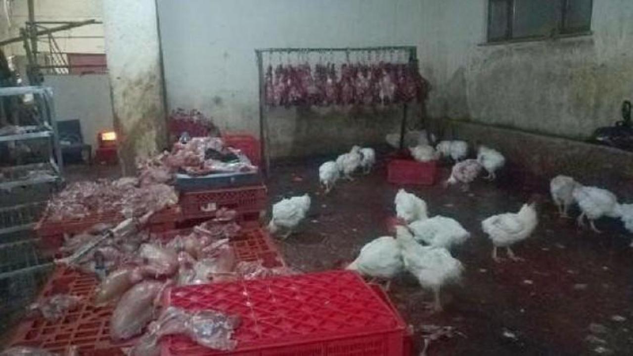 Sağlığımızla b&ouml;yle oynuyorlar! Tam 640 kilogram...