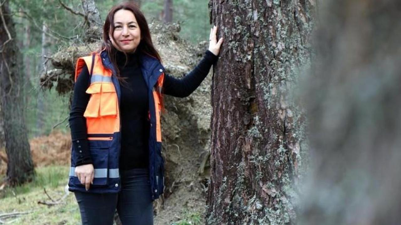 Ormanlar Bur&ccedil;in m&uuml;d&uuml;re emanet