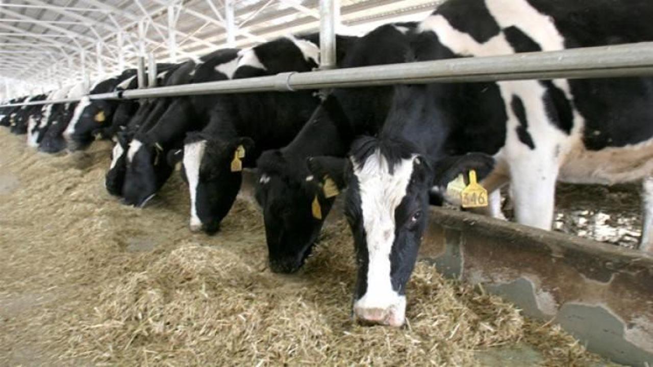 &Ccedil;iftlik Bank'tan sonra S&uuml;tbank da battı