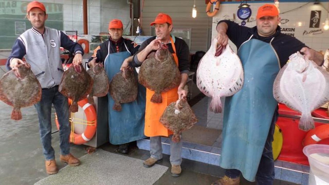 Denizin nadir bulunan balığı tezgahları doldurdu