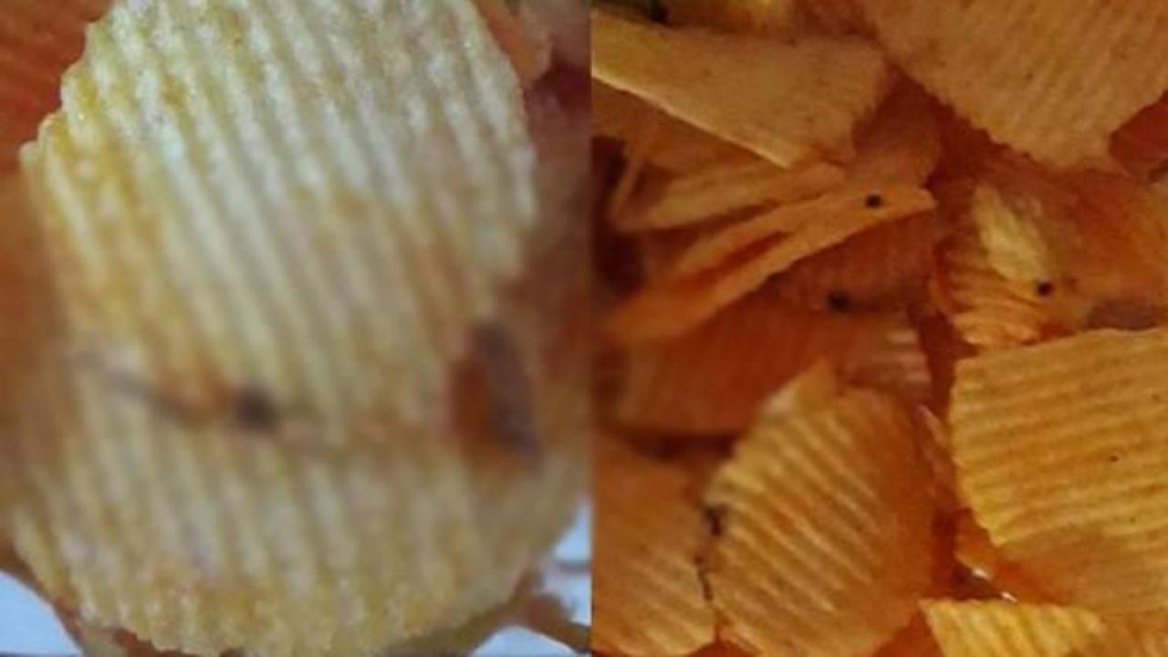 Cipsin i&ccedil;inden &ccedil;ıkana inanamayacaksınız! İğren&ccedil;...