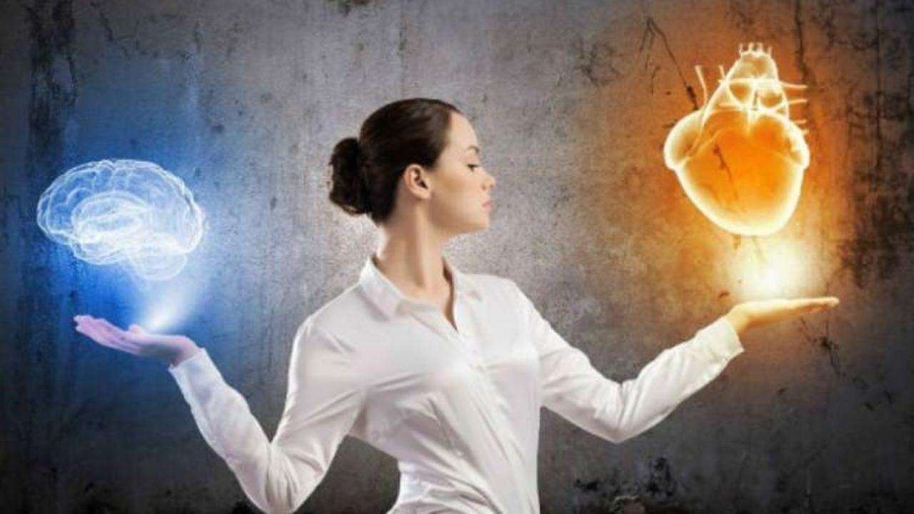 Hisleriniz kuvvetli midir? Buyrun teste...