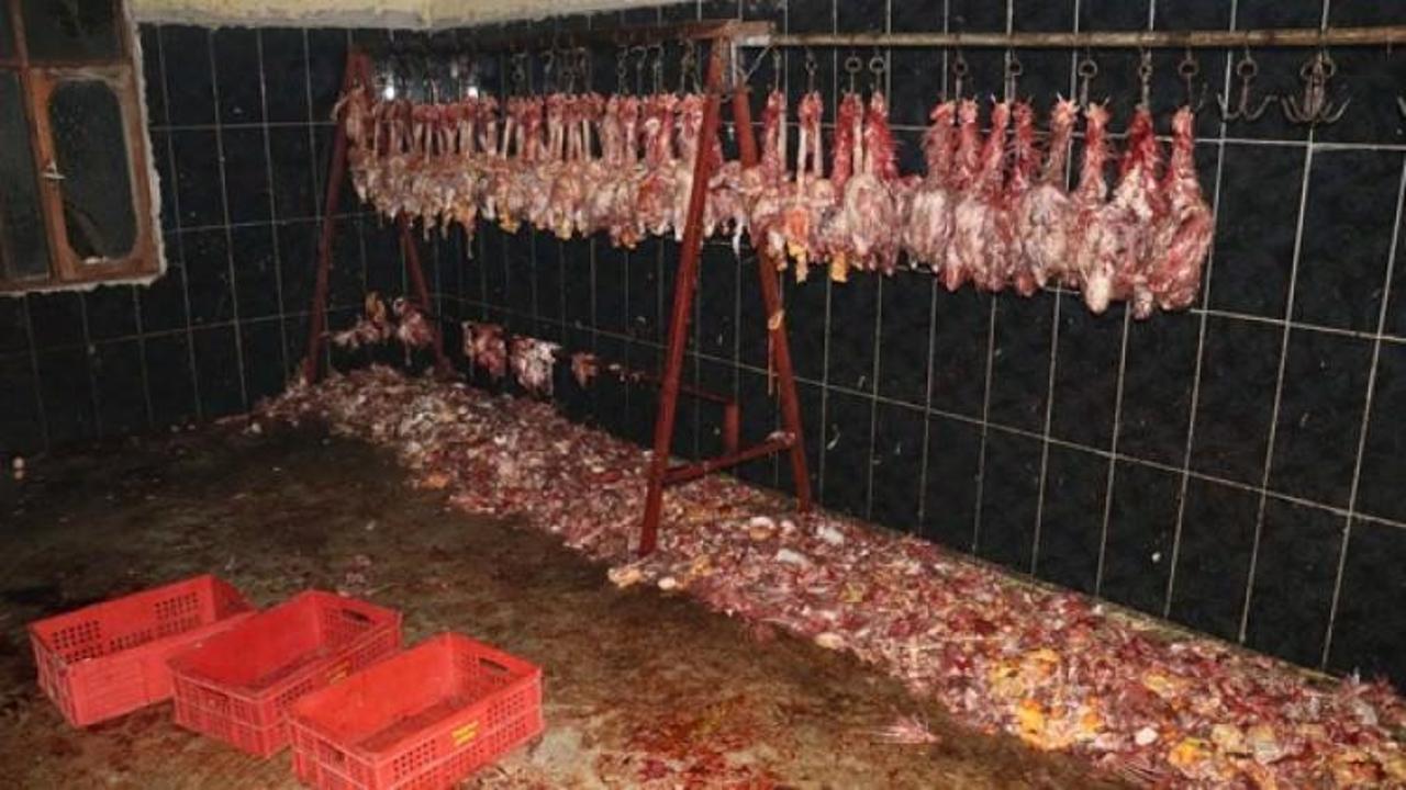 Baskında mide bulandıran g&ouml;r&uuml;nt&uuml;!