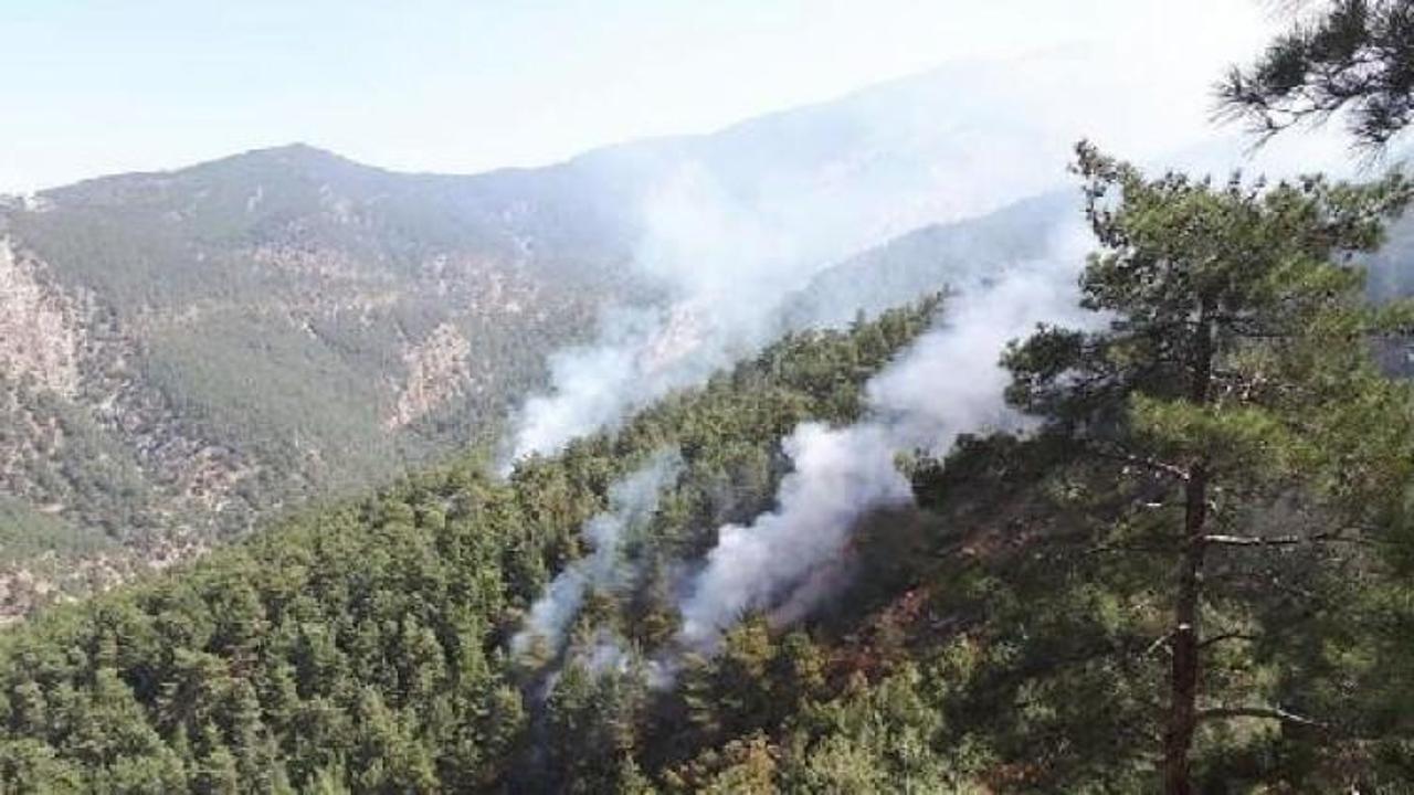 PKK'lı ter&ouml;ristler ormanı ateşe verdi