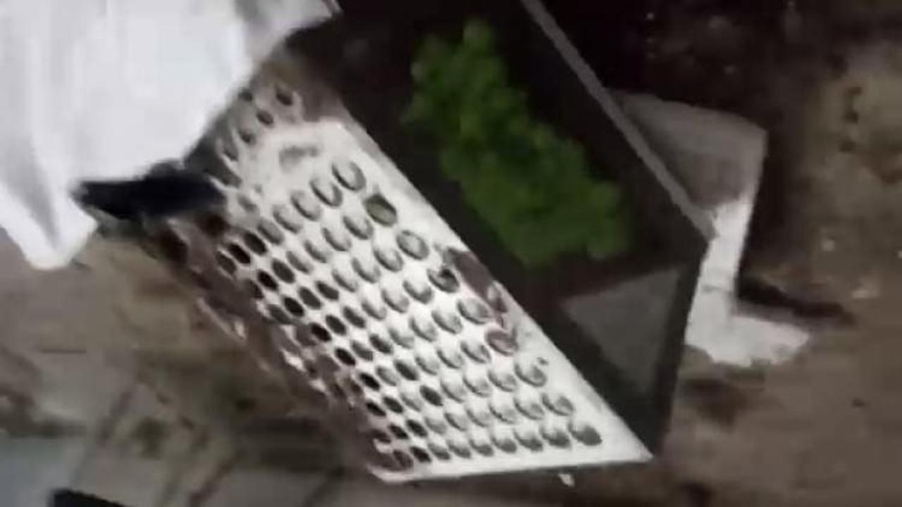 Topraktan tombala makinesi &ccedil;ıktı!