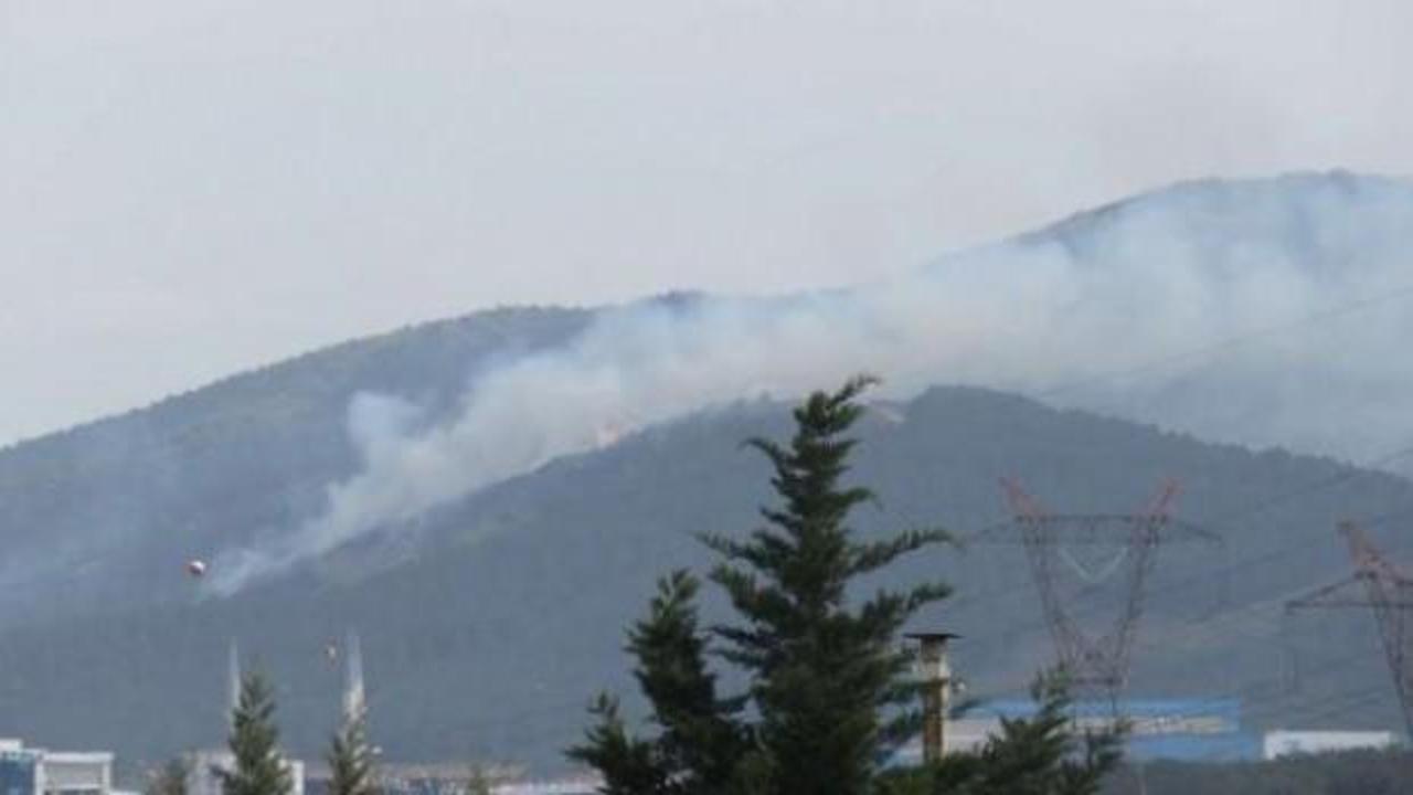İstanbul'da orman yangını! 