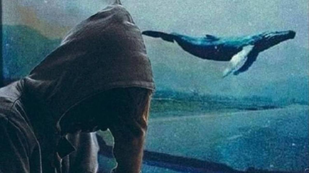 Kod Adı: Mavi! Gizli tehlike