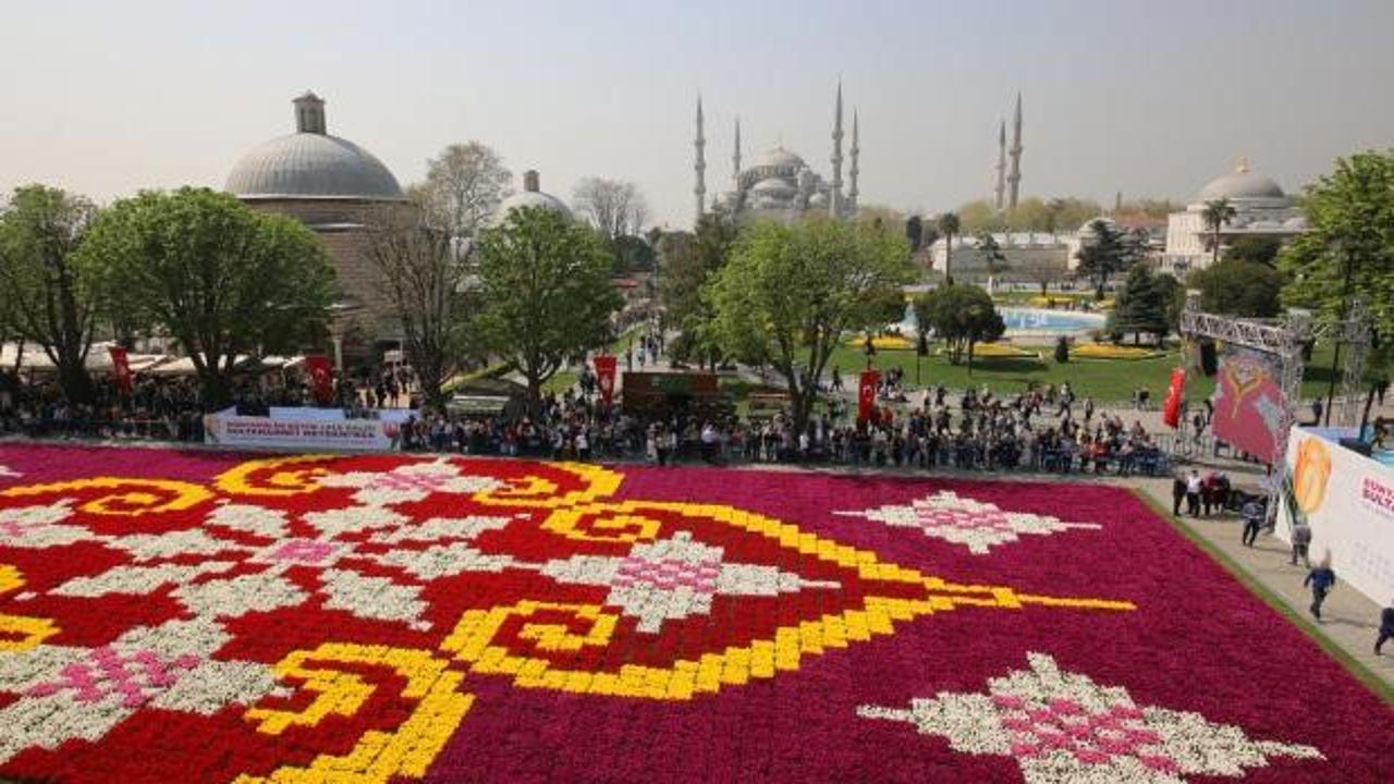 Dünyanın en büyük canlı lale halısı İstanbul'da!