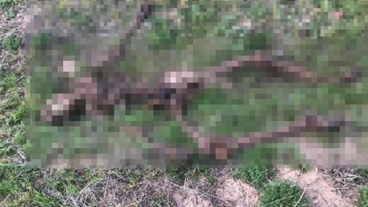Yok b&ouml;yle vahşet! Tarlada bulundu