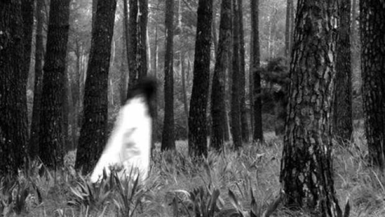 K&ouml;y ayağa kalktı! Mezarlıkta ağlayan kız sesi...