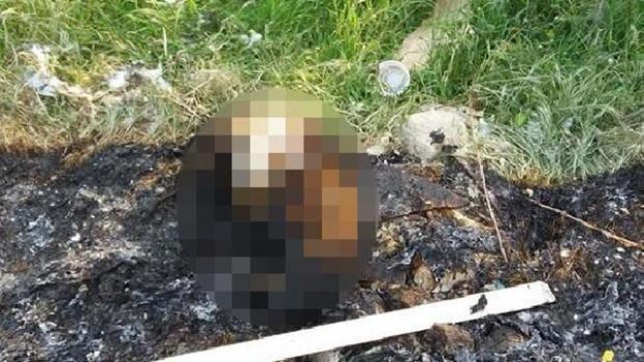 Akıl almaz vahşet! B&ouml;yle bulundu