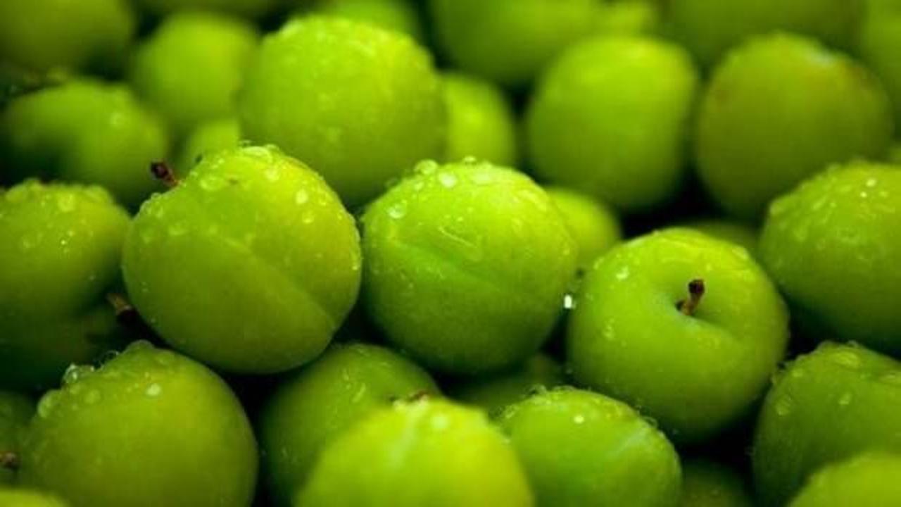 Yeşil erik yemeniz için 11 neden
