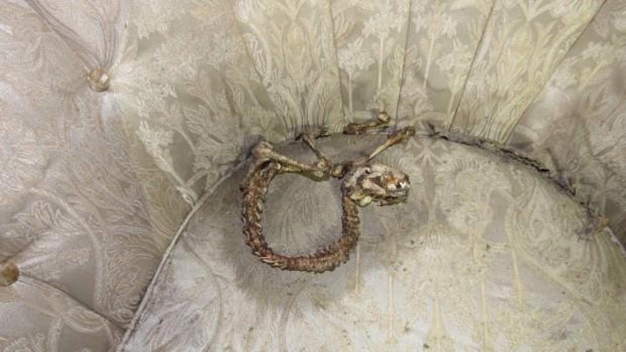 Bing&ouml;l'de bulundu! Korkutan iskelet...