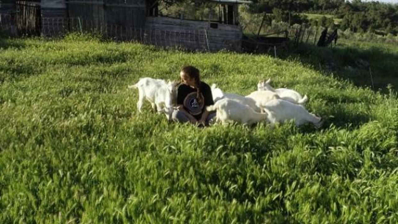Nişantaşı kızı keçi çobanı oldu