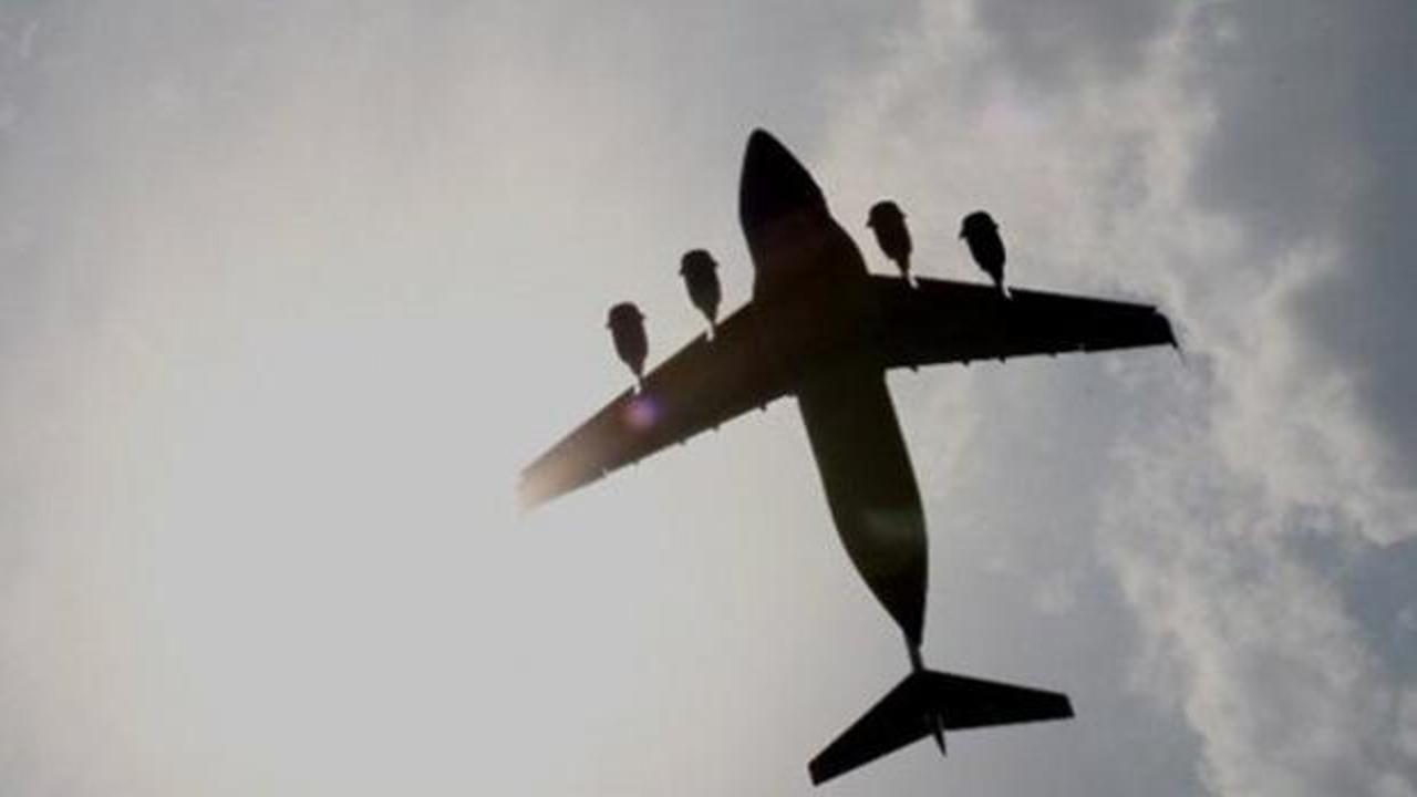 Rusya’da uçak düştü: 1 ölü