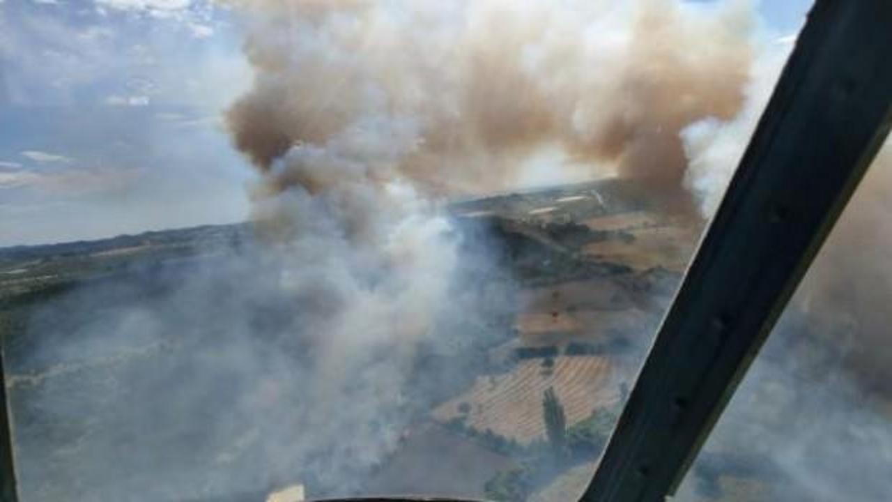 Çanakkale'de orman yangını  