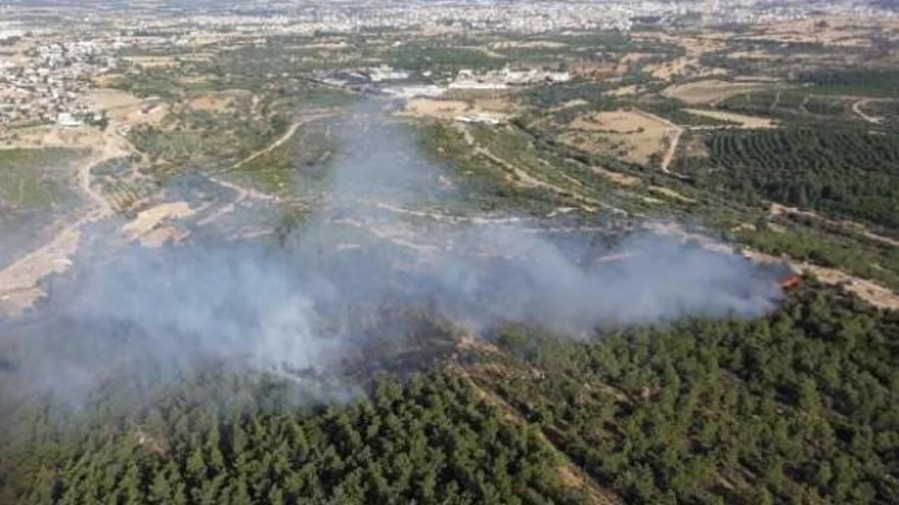 İzmir menderes'te orman yangını çıktı