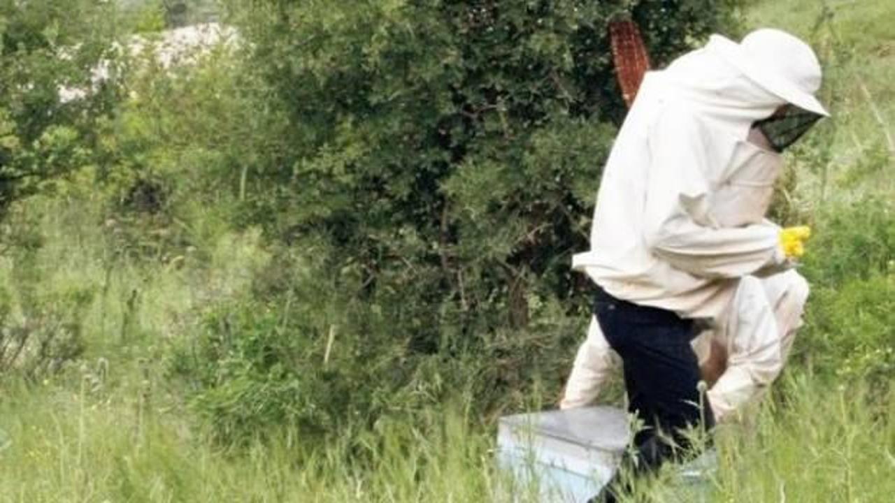 Kato'da artık teröristler yok! Arıcıların meskeni