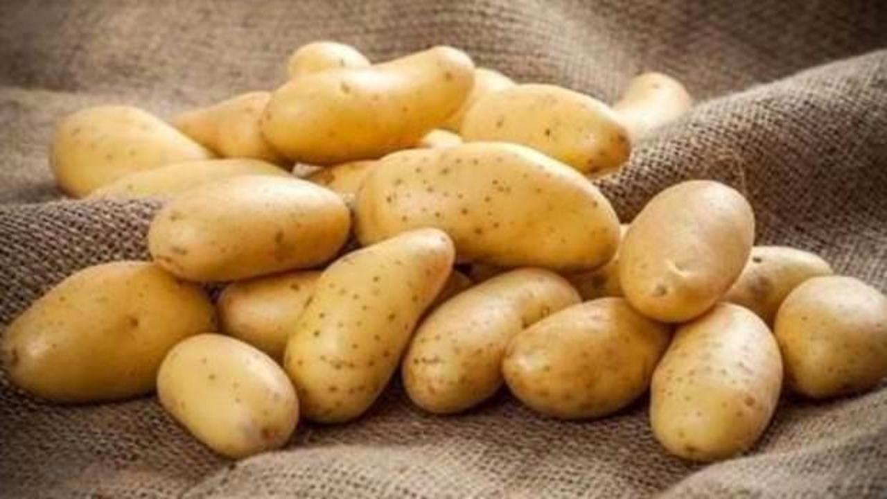 Bakan Fakıbaba: Patates fiyatları hemen düşecek