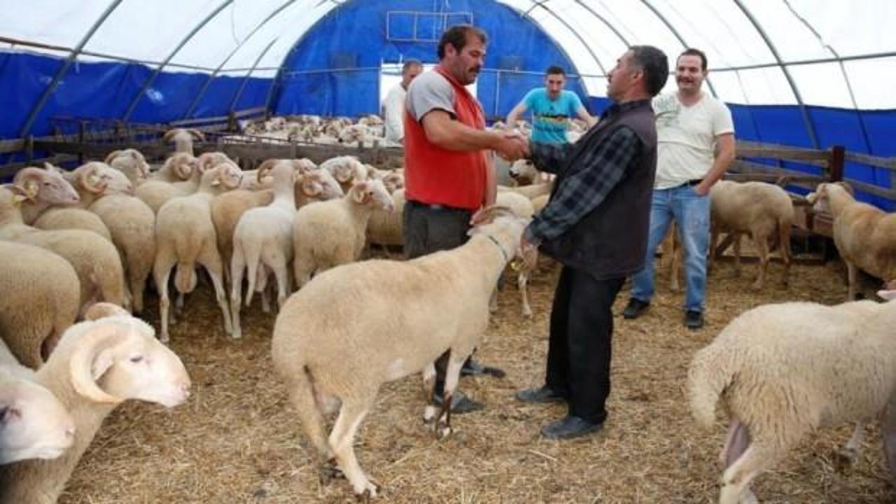 Bayramda bunu yapan yandı! Cezası belli oldu...