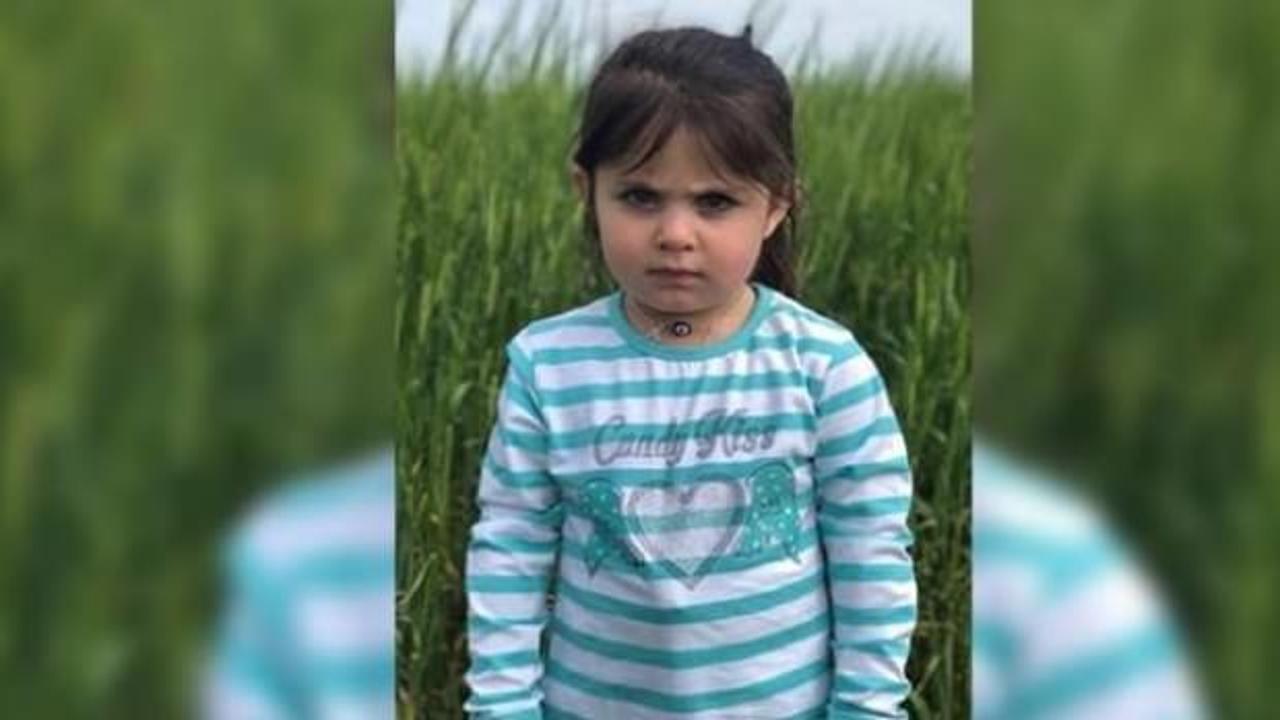 Leyla'yı d&uuml;rb&uuml;nle arıyorlar! Kargalar...