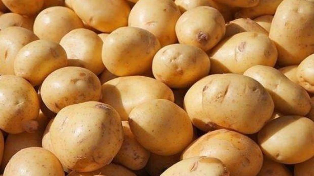 Patates fiyatı ile ilgili önemli gelişme