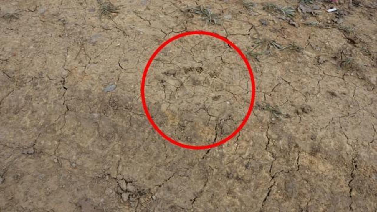 Uşak'ta şoke eden g&ouml;r&uuml;nt&uuml;! İzleri bulundu