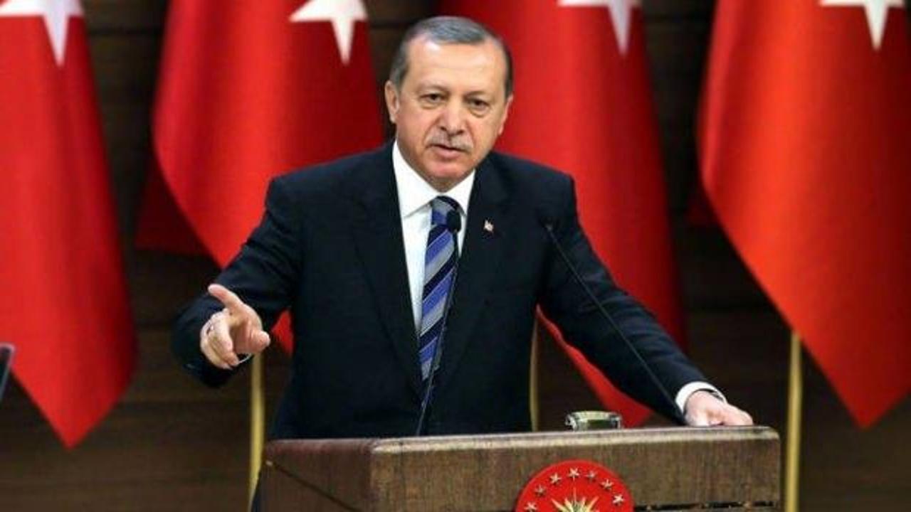 ABD'ye yol gösterdiler: Türkiye'yi örnek alın