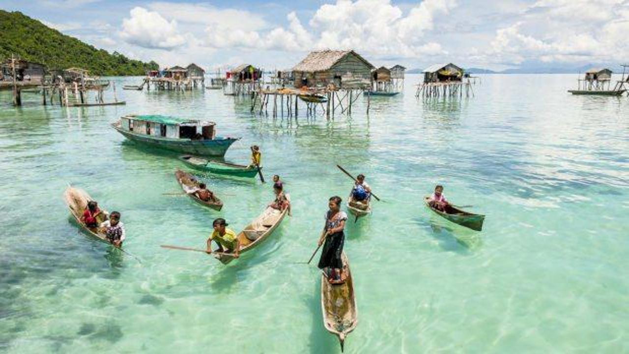 Denizde yaşayan Bajaular kimdir? 