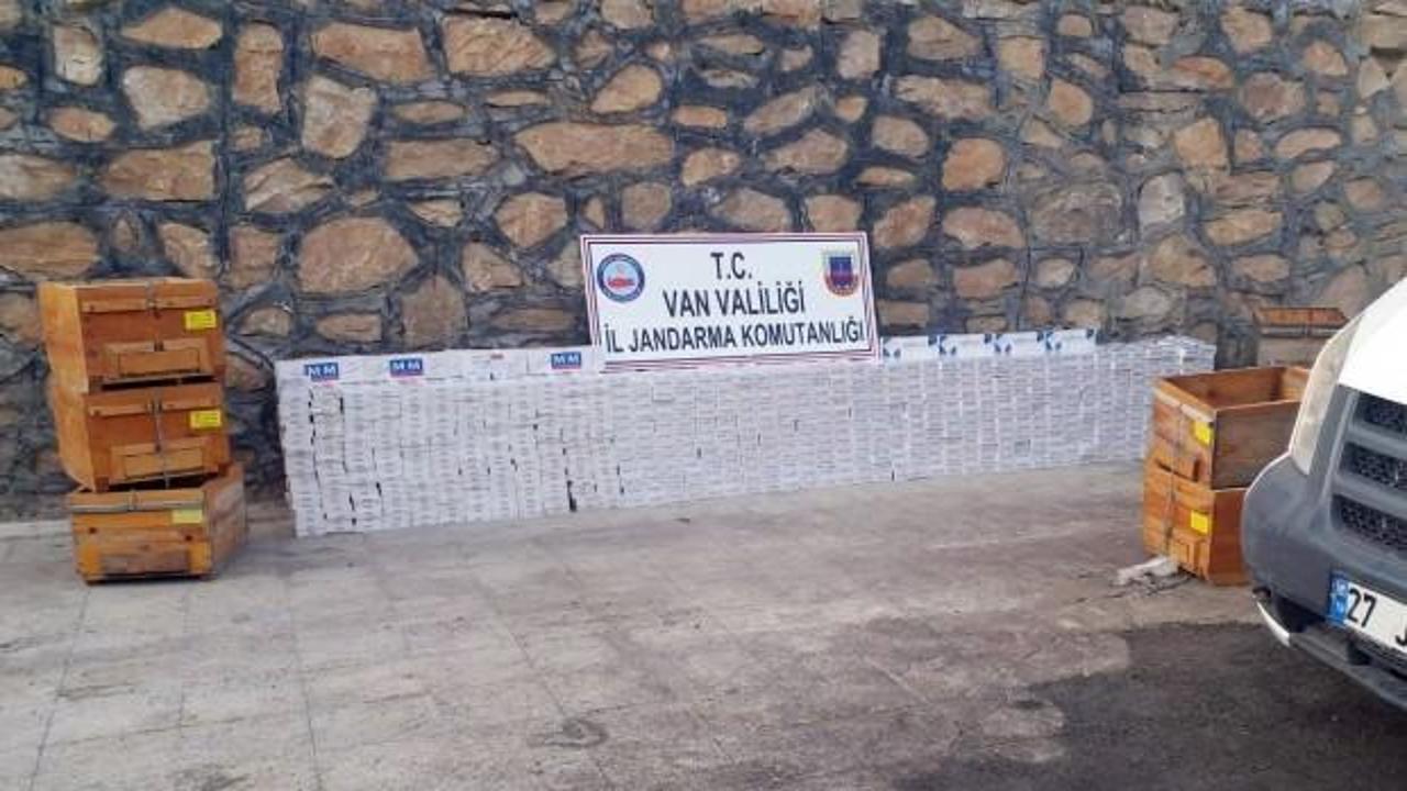 Bal kovanlarının içine gizlenmiş halde bulundu