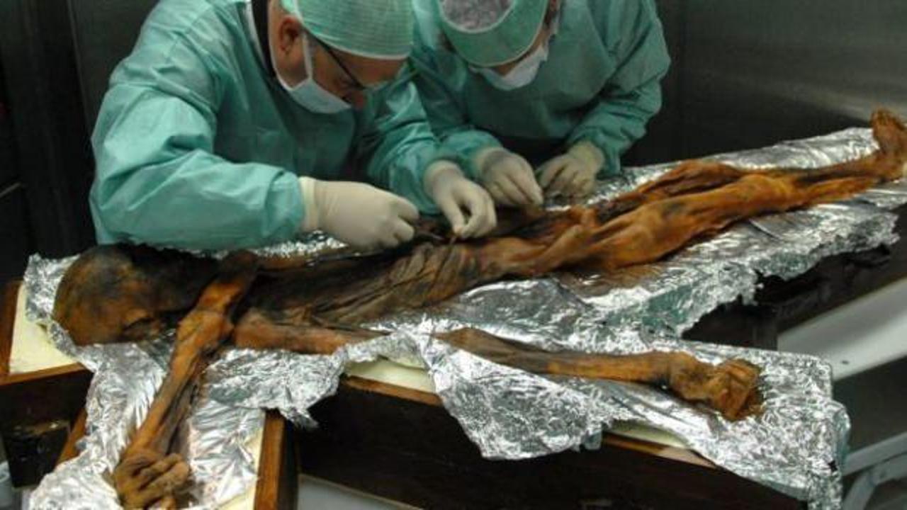 Buz adam Ötzi'nin son yemeği teşhis edildi