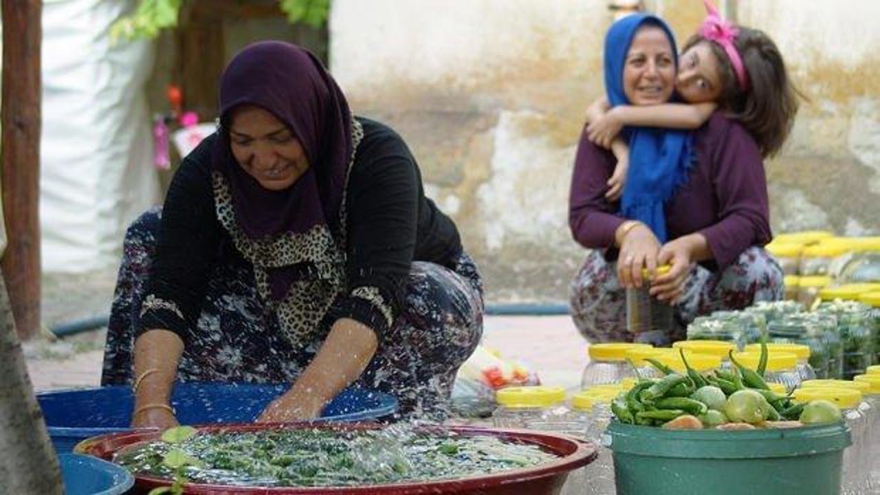 Bu kadınlar 30 bin ton turşu üretiyor!