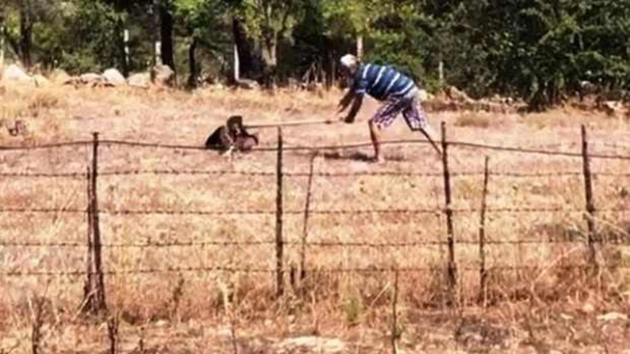 Dehşete d&uuml;ş&uuml;ren olay! K&uuml;rekle...