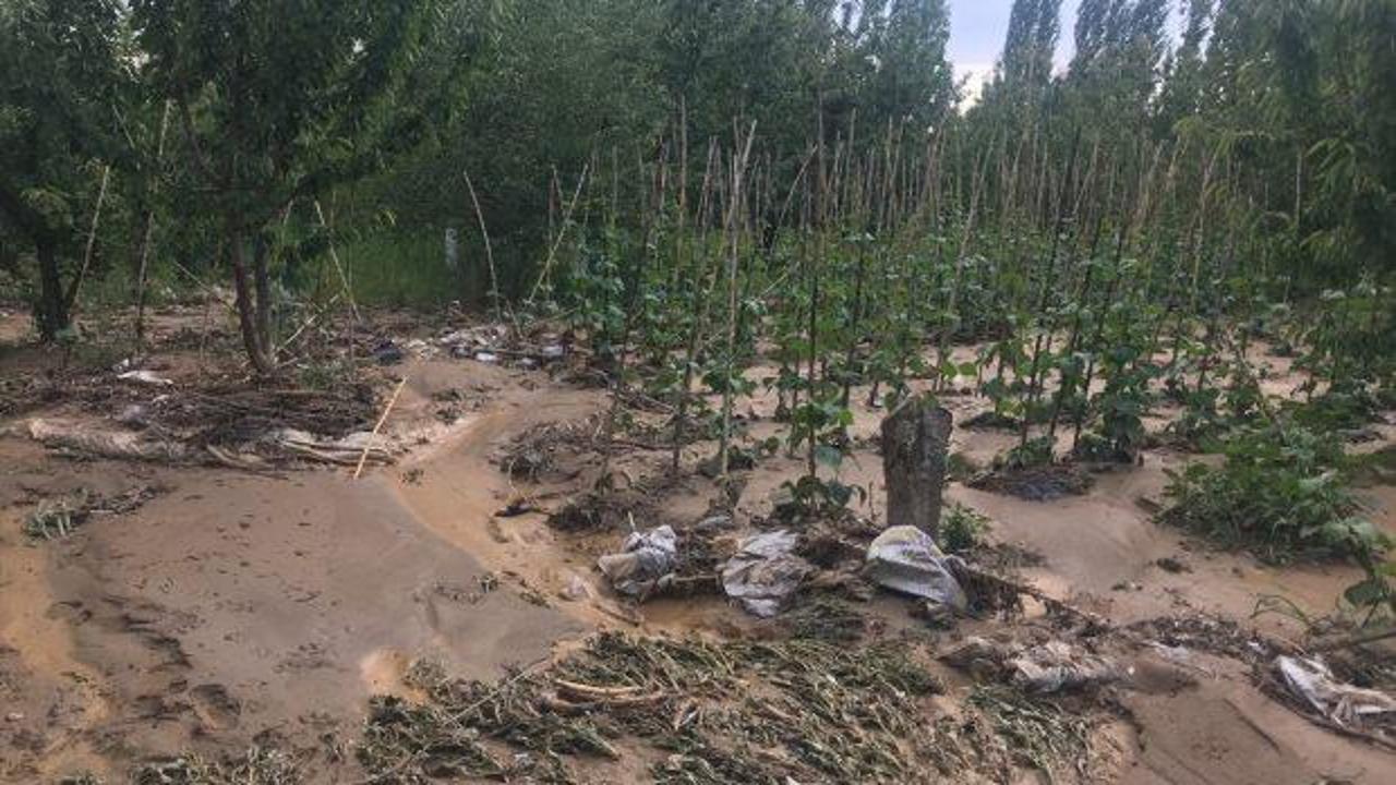 Kiraz'da zarar gören alanlarda çalışma başlatıldı