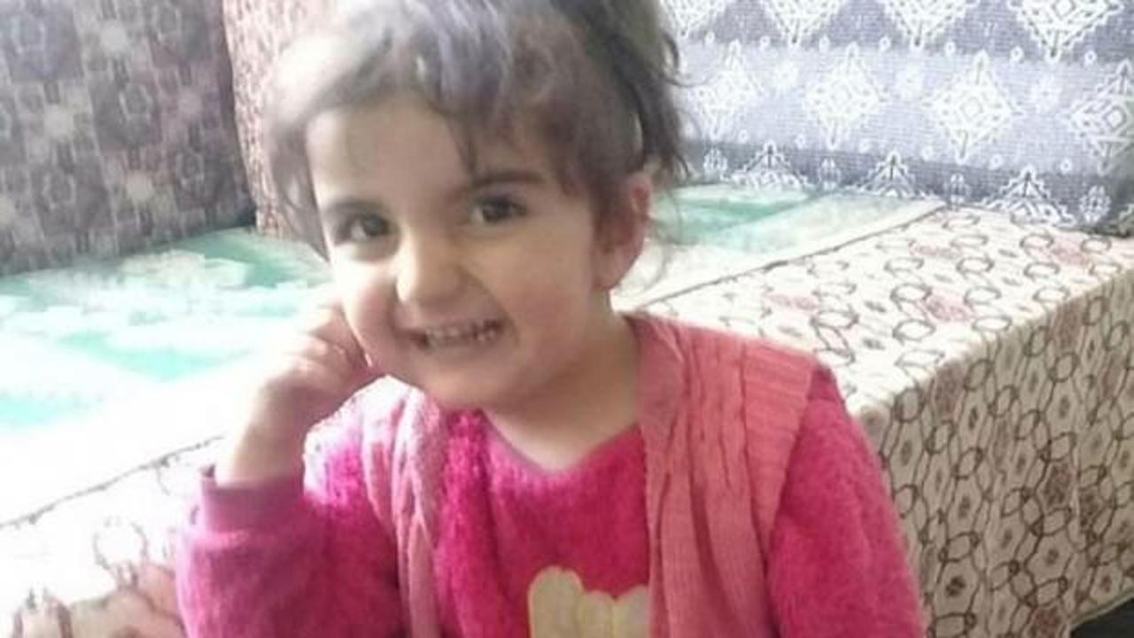 Kayıp Evrim'de yeni gelişme