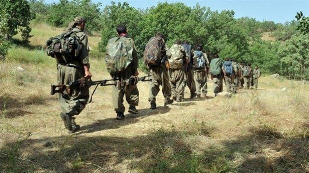 PKK'lı teröristler turistleri kaçırdı!