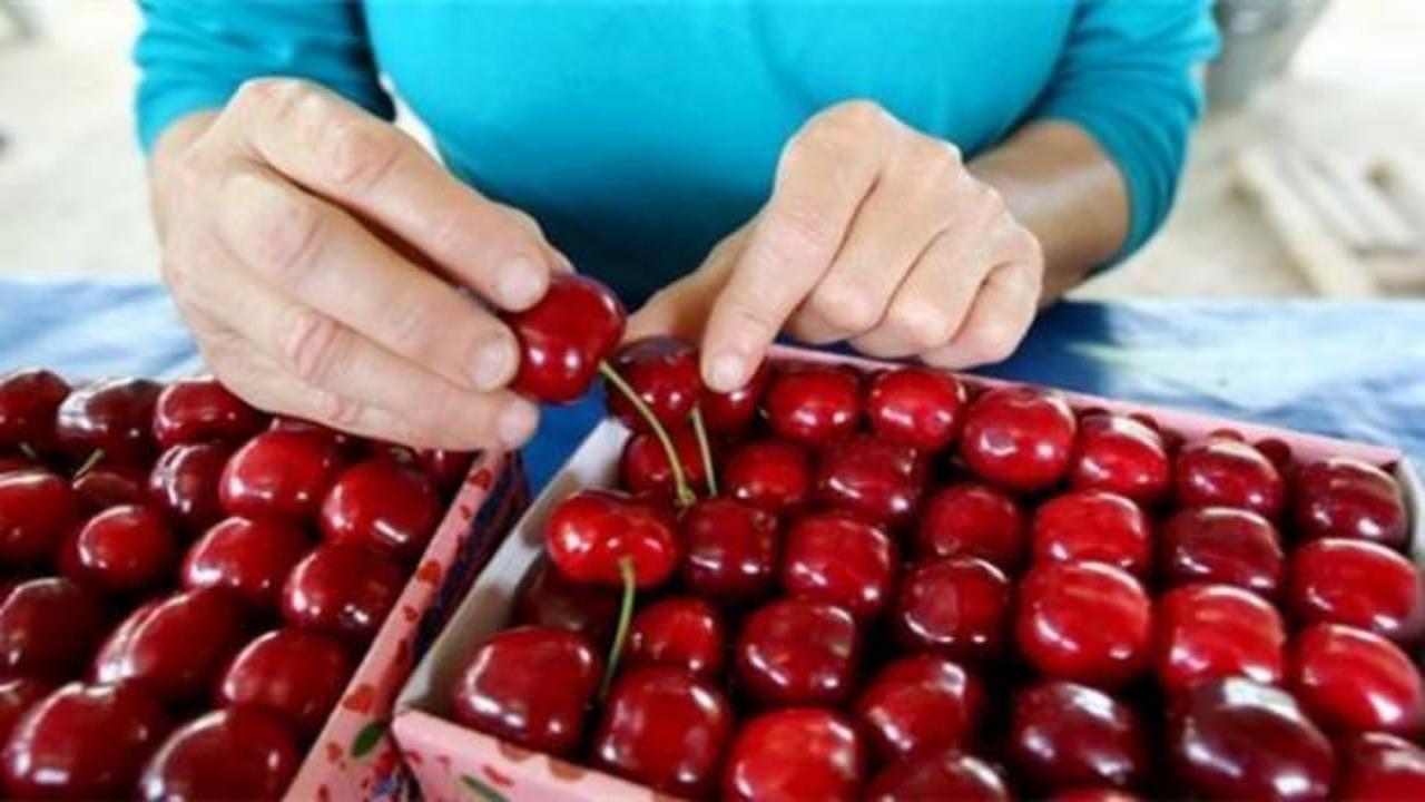 Dev projenin startı verildi! Çin'e giriyoruz