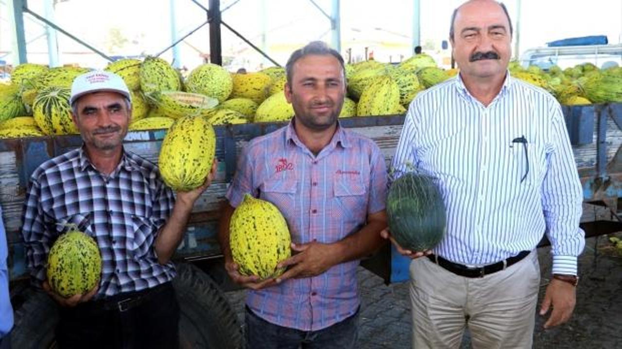 Çankırı kavununda rekolte ve fiyat üreticiyi memnun etti