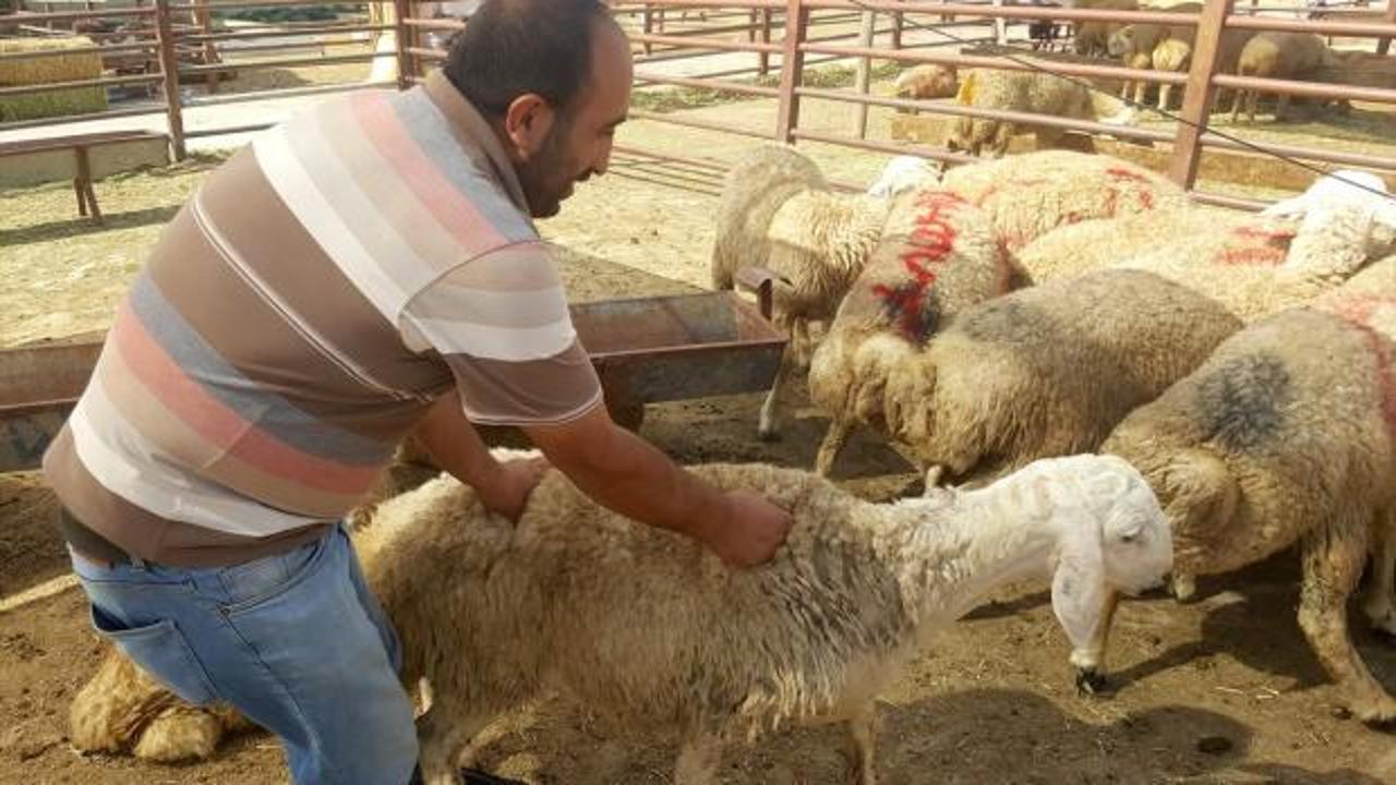 Kurban pazarında dolar ve avroyla satış yapılmıyor