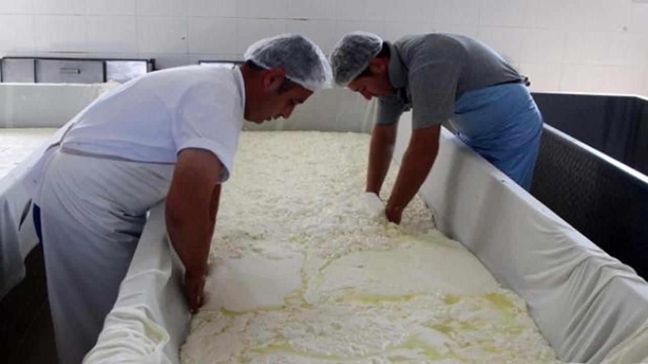 Kırklareli peyniri 16 ülkenin sofrasında